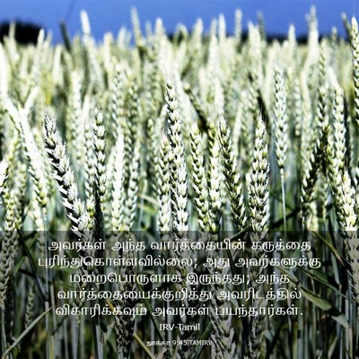 Picture 03 - லூக்கா 9:45 TAMIRV - அவர்கள் அந்த - Bible Verse Picture