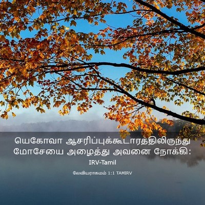Picture 03 - லேவியராகமம் 1:1 TAMIRV - யெகோவா - Bible Verse Picture