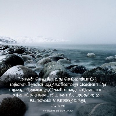 Picture 03 - லேவியராகமம் 1:10 TAMIRV - “அவன் செலுத்துவது - Bible Verse Picture