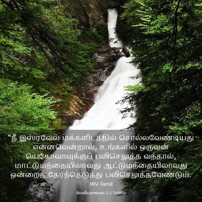 Picture 03 - லேவியராகமம் 1:2 TAMIRV - “நீ இஸ்ரவேல் - Bible Verse Picture