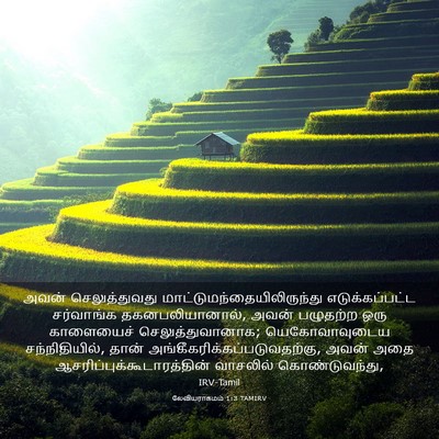 Picture 03 - லேவியராகமம் 1:3 TAMIRV - அவன் செலுத்துவது - Bible Verse Picture