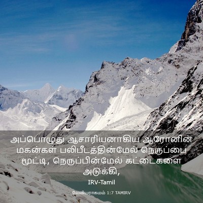 Picture 03 - லேவியராகமம் 1:7 TAMIRV - அப்பொழுது - Bible Verse Picture