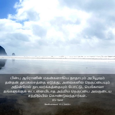 Picture 03 - லேவியராகமம் 10:1 TAMIRV - பின்பு ஆரோனின் - Bible Verse Picture