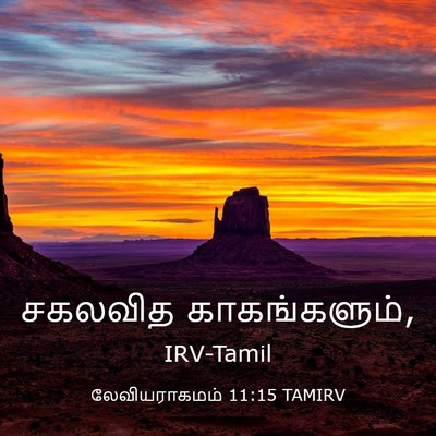 Picture 03 - லேவியராகமம் 11:15 TAMIRV - சகலவித - Bible Verse Picture