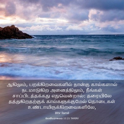 Picture 03 - லேவியராகமம் 11:21 TAMIRV - ஆகிலும், - Bible Verse Picture