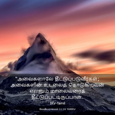 Picture 03 - லேவியராகமம் 11:24 TAMIRV - “அவைகளாலே - Bible Verse Picture