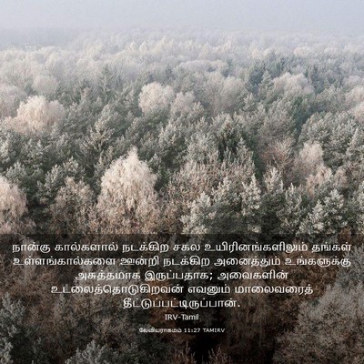 Picture 03 - லேவியராகமம் 11:27 TAMIRV - நான்கு கால்களால் - Bible Verse Picture
