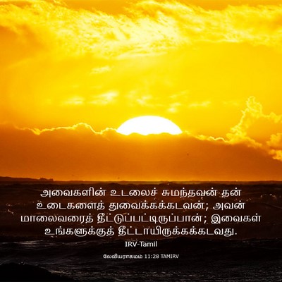 Picture 03 - லேவியராகமம் 11:28 TAMIRV - அவைகளின் உடலைச் - Bible Verse Picture