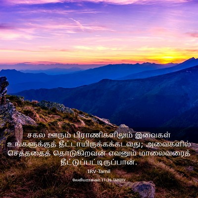 Picture 03 - லேவியராகமம் 11:31 TAMIRV - சகல ஊரும் - Bible Verse Picture