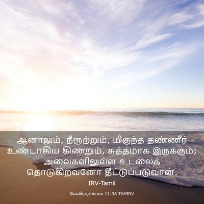 Picture 03 - லேவியராகமம் 11:36 TAMIRV - ஆனாலும், - Bible Verse Picture