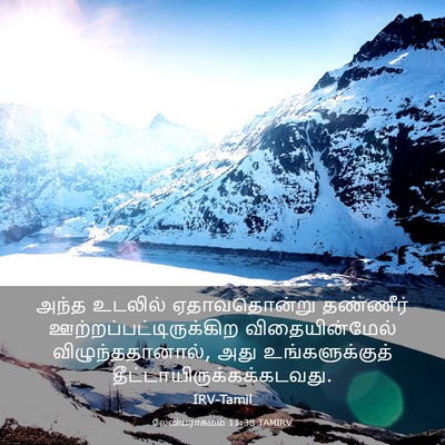 Picture 03 - லேவியராகமம் 11:38 TAMIRV - அந்த உடலில் - Bible Verse Picture