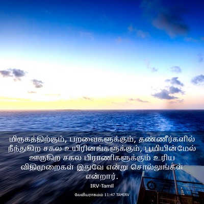 Picture 03 - லேவியராகமம் 11:47 TAMIRV - மிருகத்திற்கும், - Bible Verse Picture