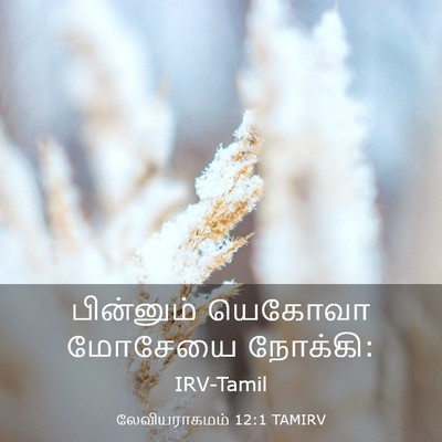 Picture 03 - லேவியராகமம் 12:1 TAMIRV - பின்னும் யெகோவா - Bible Verse Picture