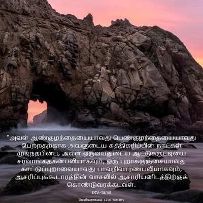 Picture 03 - லேவியராகமம் 12:6 TAMIRV - “அவள் - Bible Verse Picture