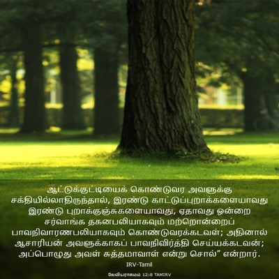 Picture 03 - லேவியராகமம் 12:8 TAMIRV -  - Bible Verse Picture