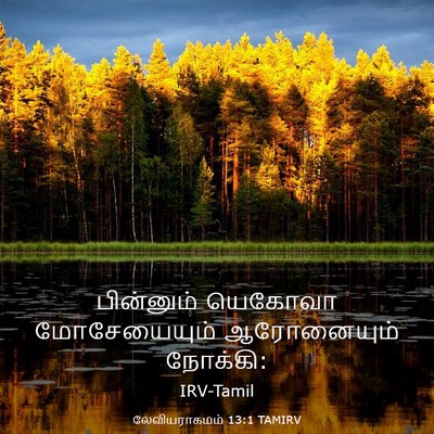 Picture 03 - லேவியராகமம் 13:1 TAMIRV - பின்னும் யெகோவா - Bible Verse Picture