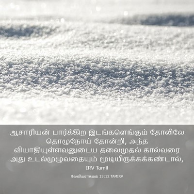 Picture 03 - லேவியராகமம் 13:12 TAMIRV - ஆசாரியன் - Bible Verse Picture
