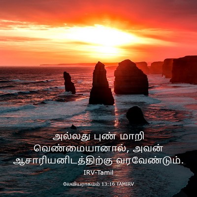 Picture 03 - லேவியராகமம் 13:16 TAMIRV - அல்லது புண் மாறி - Bible Verse Picture