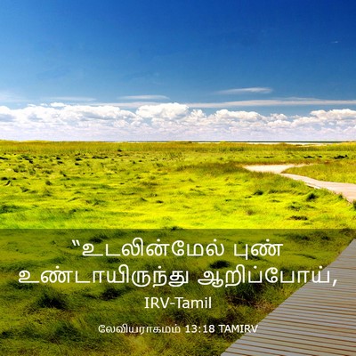 Picture 03 - லேவியராகமம் 13:18 TAMIRV - “உடலின்மேல் புண் - Bible Verse Picture