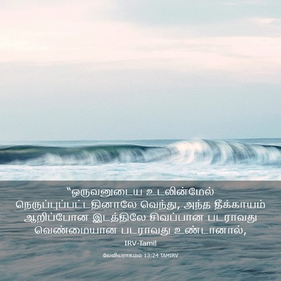 Picture 03 - லேவியராகமம் 13:24 TAMIRV - “ஒருவனுடைய - Bible Verse Picture