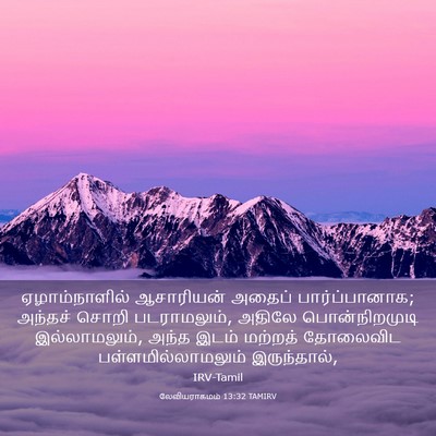 Picture 03 - லேவியராகமம் 13:32 TAMIRV - ஏழாம்நாளில் - Bible Verse Picture