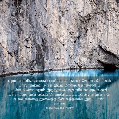 Picture 03 - லேவியராகமம் 13:34 TAMIRV - ஏழாம்நாளில் அதைப் - Bible Verse Picture