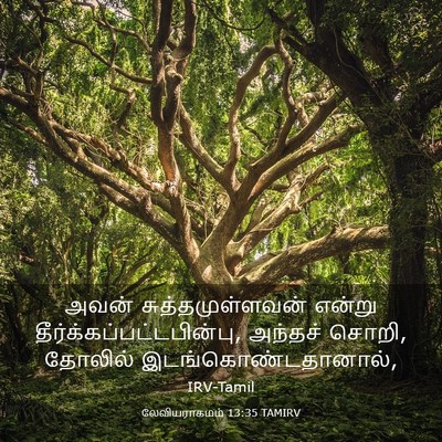 Picture 03 - லேவியராகமம் 13:35 TAMIRV - அவன் - Bible Verse Picture
