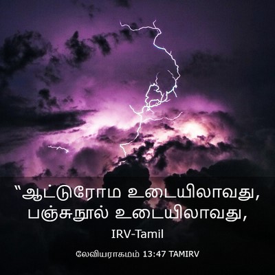 Picture 03 - லேவியராகமம் 13:47 TAMIRV - “ஆட்டுரோம - Bible Verse Picture
