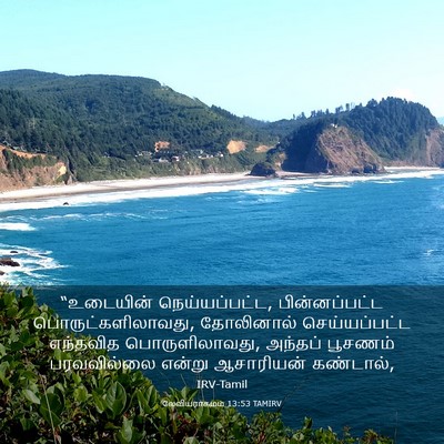 Picture 03 - லேவியராகமம் 13:53 TAMIRV - “உடையின் - Bible Verse Picture