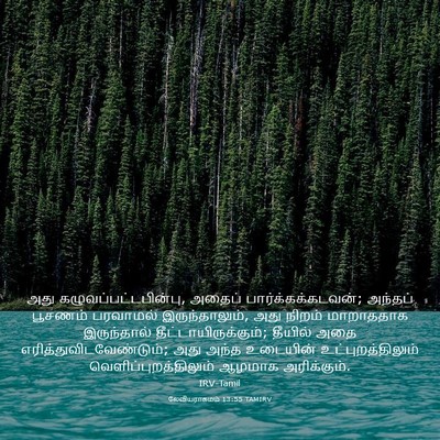 Picture 03 - லேவியராகமம் 13:55 TAMIRV - அது - Bible Verse Picture