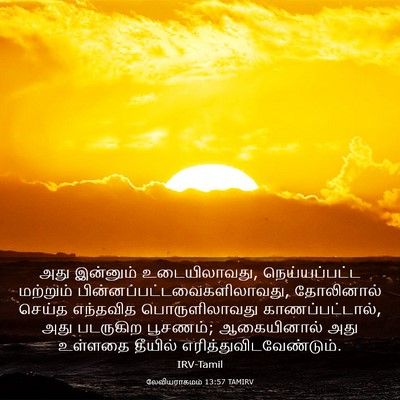 Picture 03 - லேவியராகமம் 13:57 TAMIRV - அது இன்னும் - Bible Verse Picture