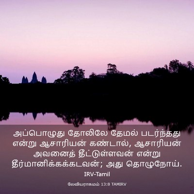 Picture 03 - லேவியராகமம் 13:8 TAMIRV - அப்பொழுது தோலிலே - Bible Verse Picture