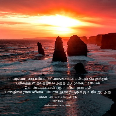 Picture 03 - லேவியராகமம் 14:13 TAMIRV - பாவநிவாரணபலியும் - Bible Verse Picture