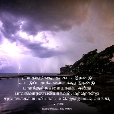 Picture 03 - லேவியராகமம் 14:22 TAMIRV - தன் தகுதிக்குத் - Bible Verse Picture