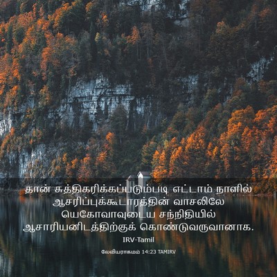 Picture 03 - லேவியராகமம் 14:23 TAMIRV - தான் - Bible Verse Picture