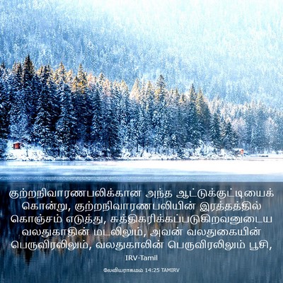 Picture 03 - லேவியராகமம் 14:25 TAMIRV -  - Bible Verse Picture