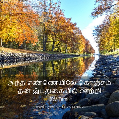Picture 03 - லேவியராகமம் 14:26 TAMIRV - அந்த எண்ணெயிலே - Bible Verse Picture