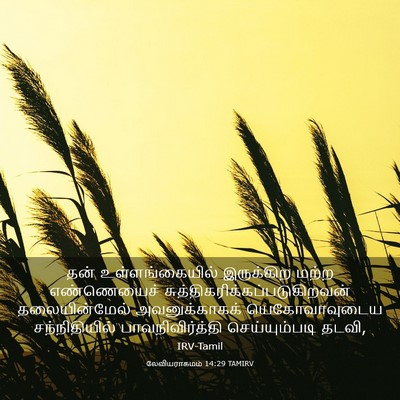Picture 03 - லேவியராகமம் 14:29 TAMIRV - தன் உள்ளங்கையில் - Bible Verse Picture