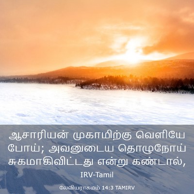 Picture 03 - லேவியராகமம் 14:3 TAMIRV - ஆசாரியன் - Bible Verse Picture