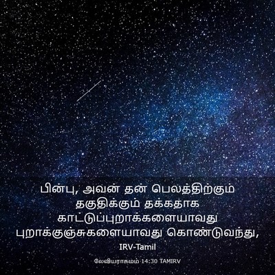 Picture 03 - லேவியராகமம் 14:30 TAMIRV - பின்பு, அவன் தன் - Bible Verse Picture
