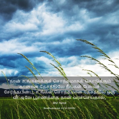 Picture 03 - லேவியராகமம் 14:34 TAMIRV - “நான் - Bible Verse Picture