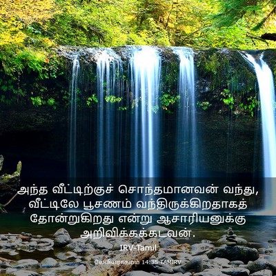 Picture 03 - லேவியராகமம் 14:35 TAMIRV - அந்த வீட்டிற்குச் - Bible Verse Picture