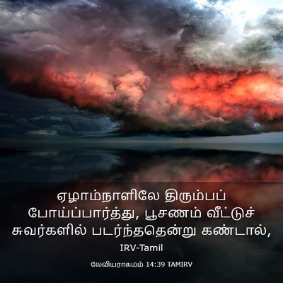 Picture 03 - லேவியராகமம் 14:39 TAMIRV - ஏழாம்நாளிலே - Bible Verse Picture