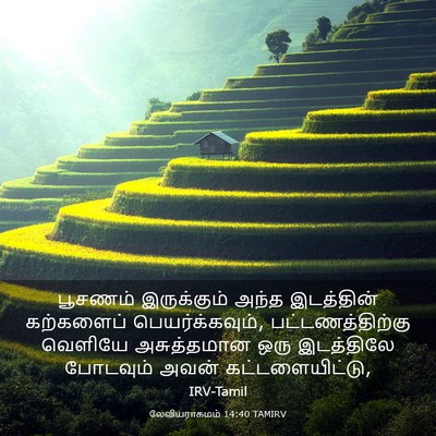Picture 03 - லேவியராகமம் 14:40 TAMIRV - பூசணம் இருக்கும் - Bible Verse Picture