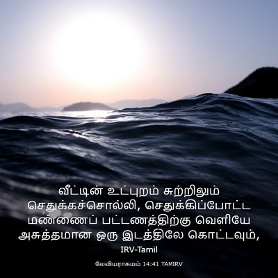Picture 03 - லேவியராகமம் 14:41 TAMIRV - வீட்டின் உட்புறம் - Bible Verse Picture