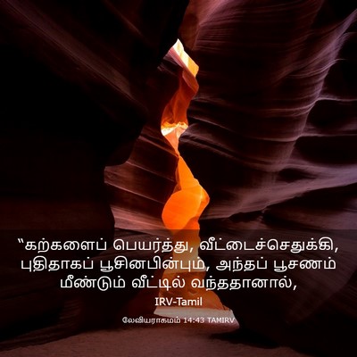 Picture 03 - லேவியராகமம் 14:43 TAMIRV - “கற்களைப் - Bible Verse Picture