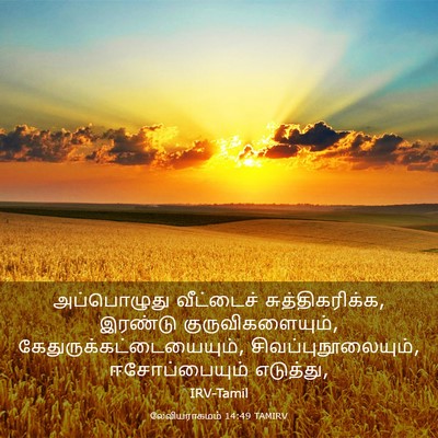 Picture 03 - லேவியராகமம் 14:49 TAMIRV - அப்பொழுது - Bible Verse Picture