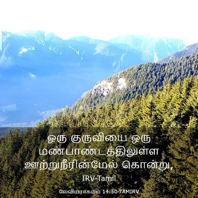 Picture 03 - லேவியராகமம் 14:50 TAMIRV - ஒரு குருவியை ஒரு - Bible Verse Picture