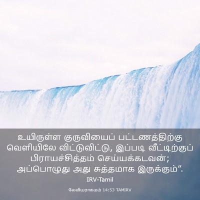 Picture 03 - லேவியராகமம் 14:53 TAMIRV - உயிருள்ள - Bible Verse Picture