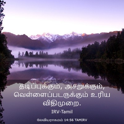 Picture 03 - லேவியராகமம் 14:56 TAMIRV - தடிப்புக்கும், - Bible Verse Picture